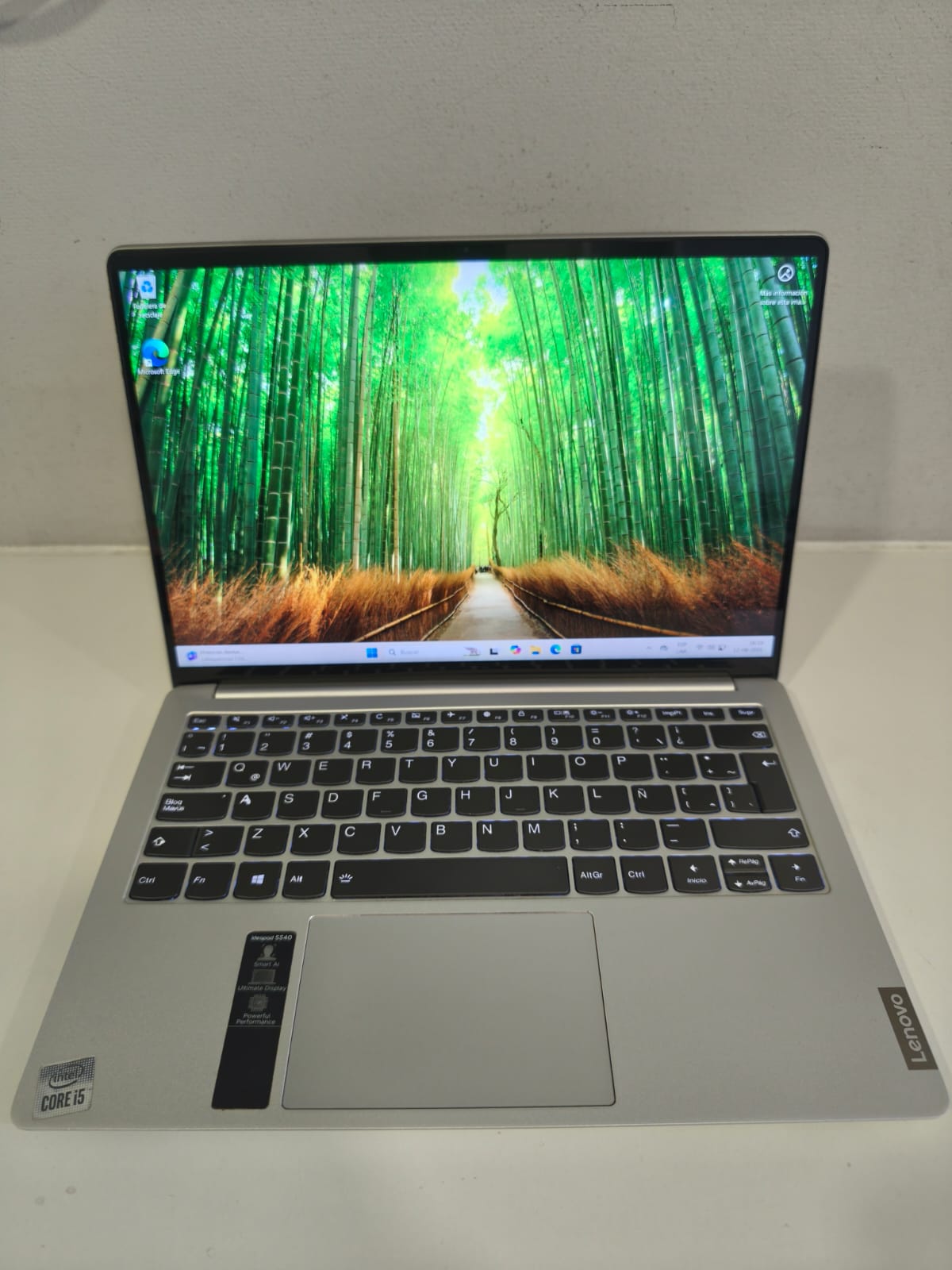 Notebook Lenovo Ideapad S540-13IML i5 10ma 16gb RAM 512gb (Reacondicionado)